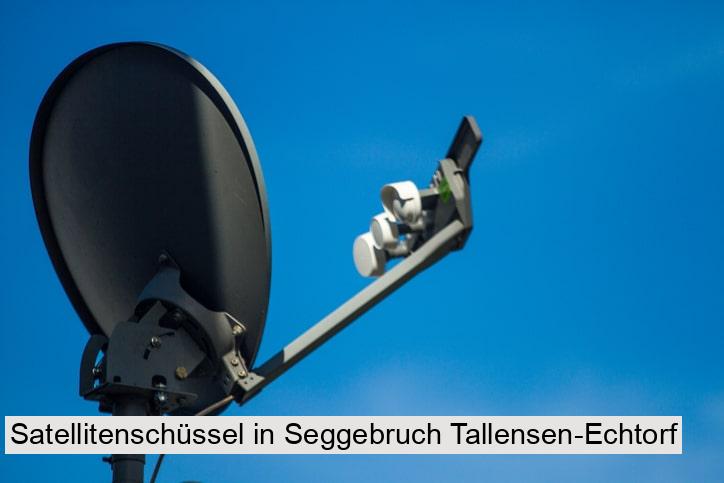 Satellitenschüssel in Seggebruch Tallensen-Echtorf